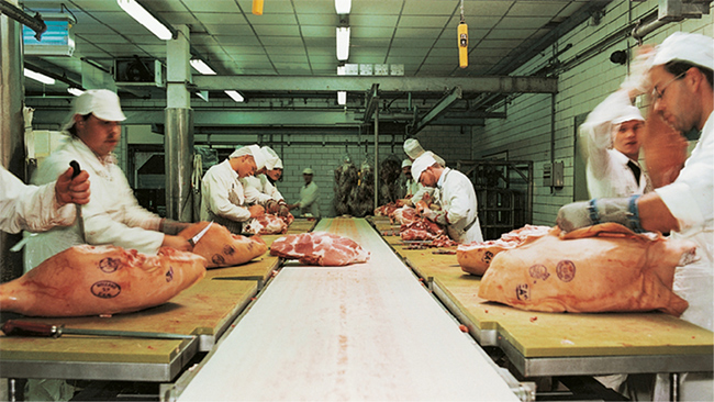 Meat, Poultry and Seafood Processing