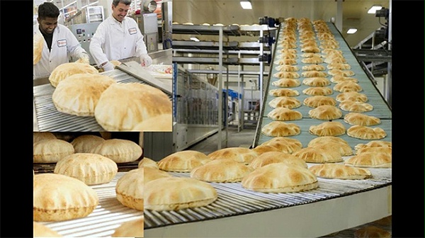 Dough Processing conveyor belt application